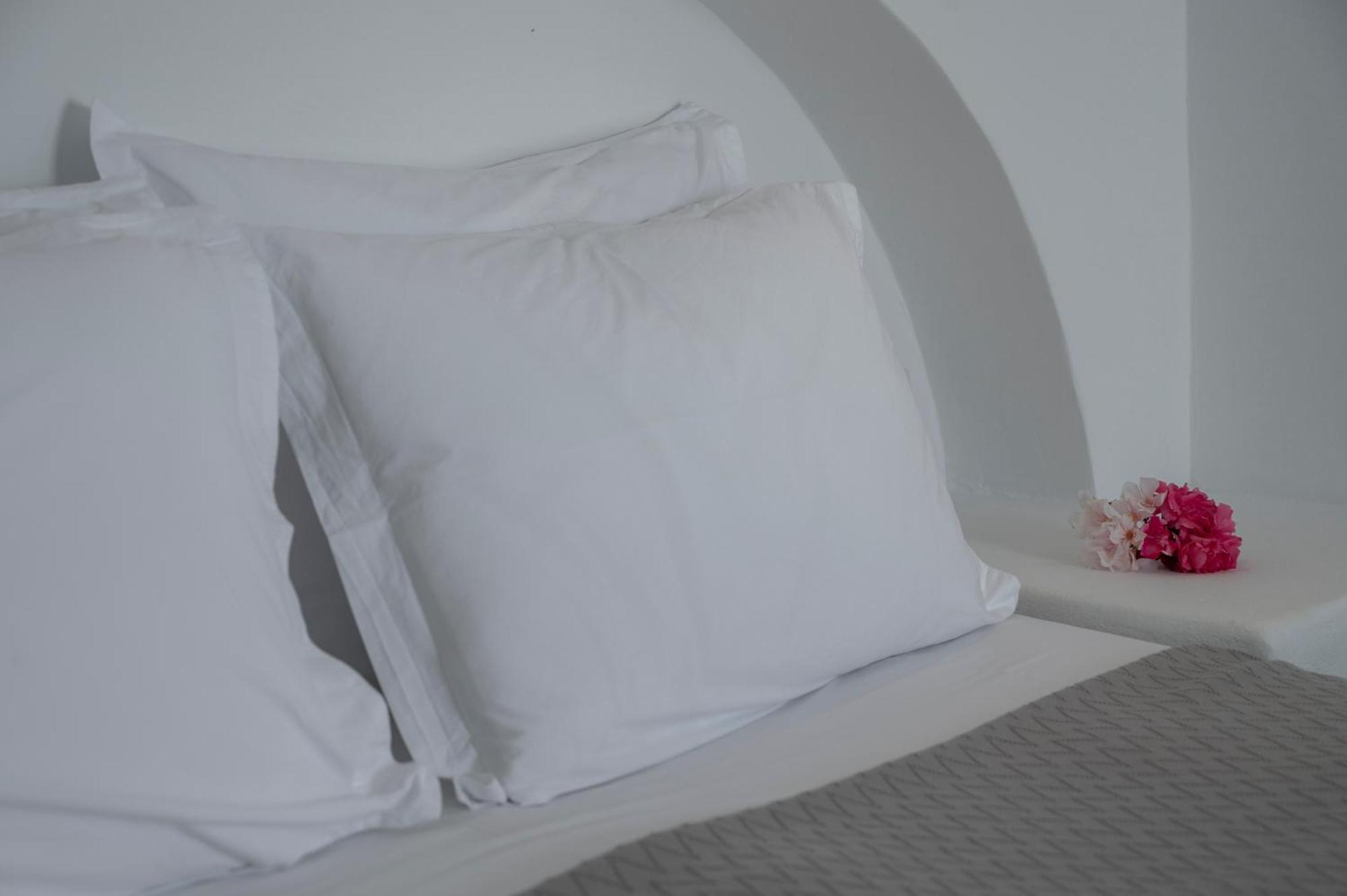 Aegean Dream Apartments Tinos ภายนอก รูปภาพ