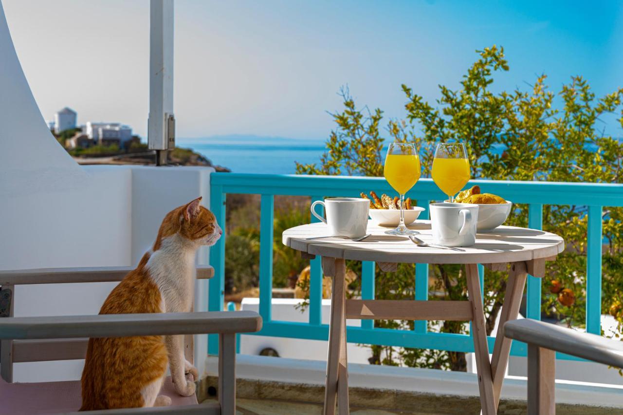 Aegean Dream Apartments Tinos ภายนอก รูปภาพ